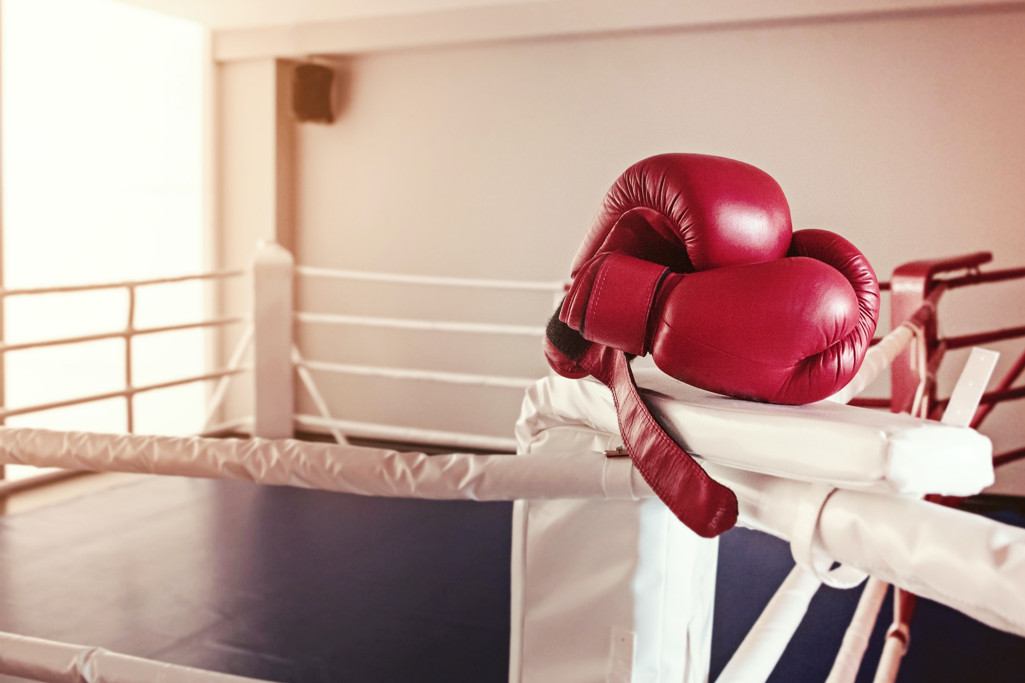 A pair of red boxing gloves hangs off ring