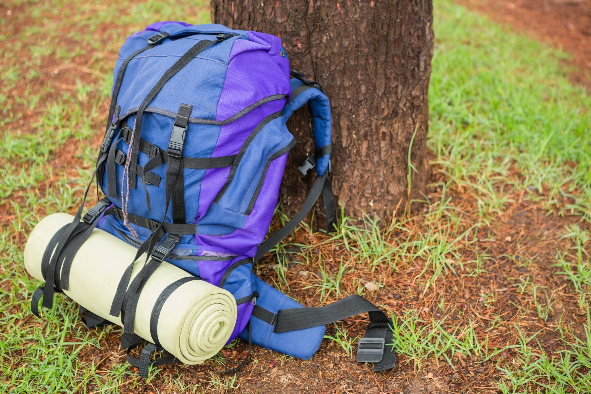 An hiking backpack and hiking pole leaning on a tree