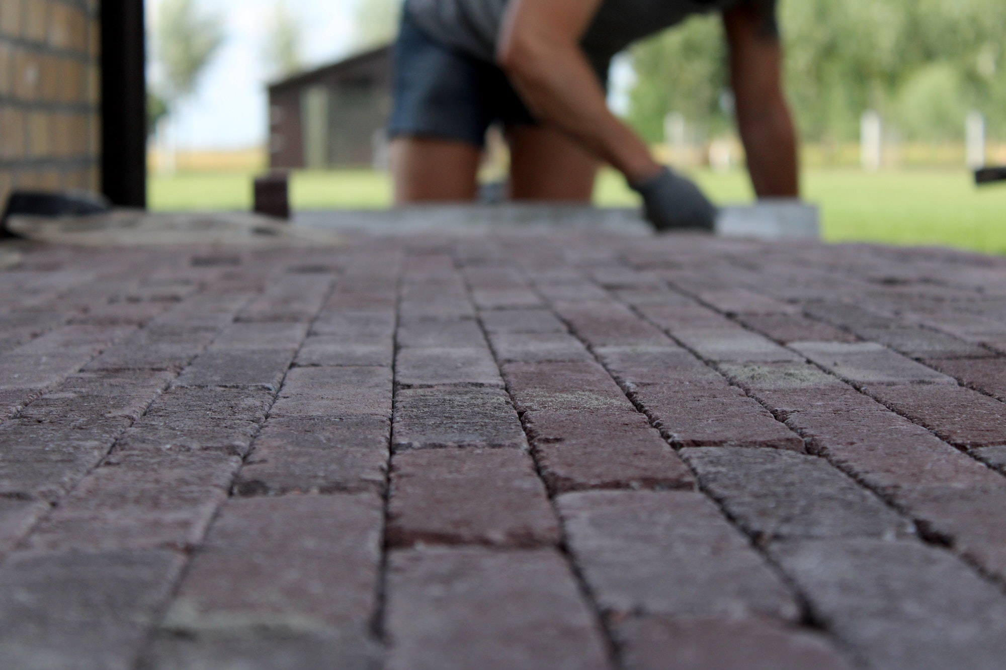 Paving a brick floor in the garden creating a walking path